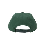 LOGO-6 PANEL CAP B LOGO - GREEN
